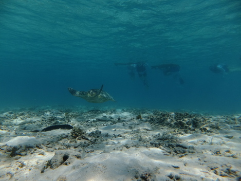 b0089616_1829453.jpg