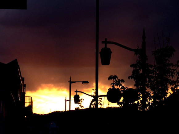 e0083517_327962.jpg