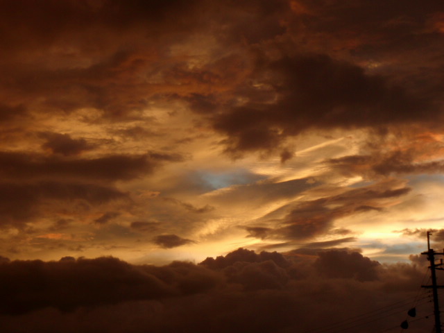 e0136620_6131927.jpg