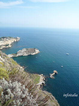 c0077533_46479.jpg