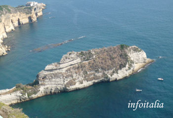 c0077533_472958.jpg