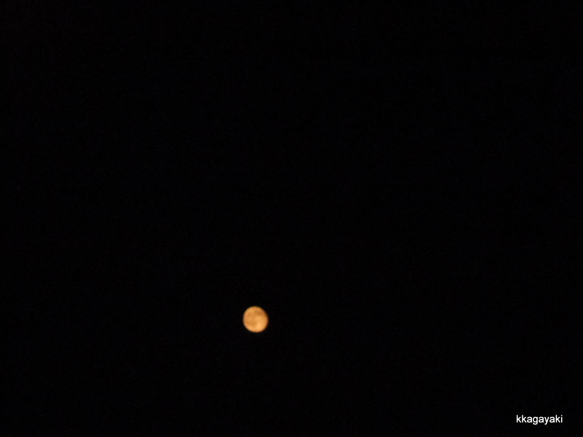 e0206242_12484834.jpg