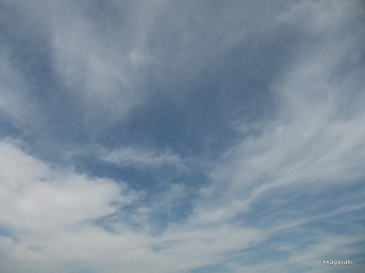 e0206242_12543947.jpg