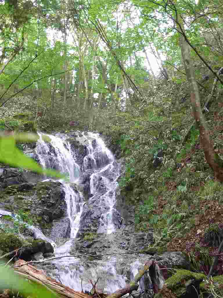 d0182245_2054521.jpg