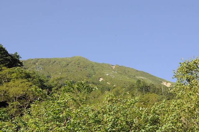 b0122448_1647198.jpg