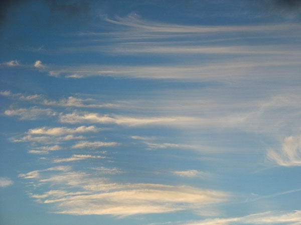 b0229648_01217.jpg
