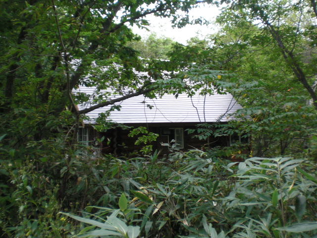 c0157348_14153389.jpg