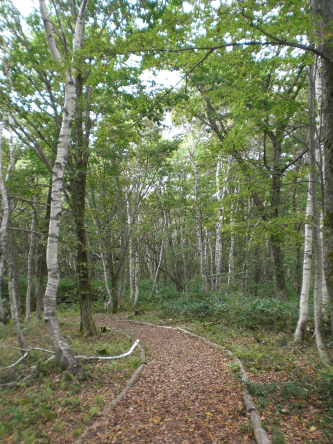 c0157348_14155660.jpg
