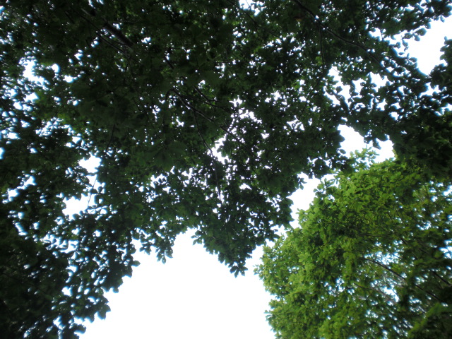 c0157348_14243290.jpg