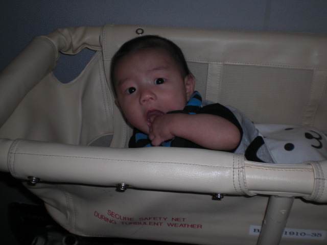 c0157348_1483231.jpg