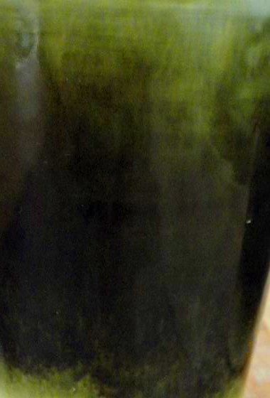 d0021649_23411997.jpg