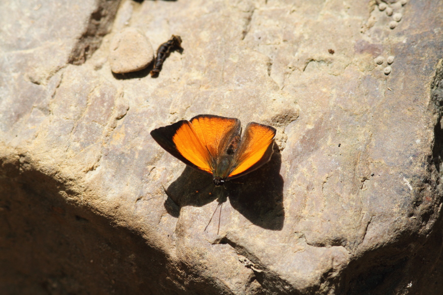 a0094850_14334588.jpg