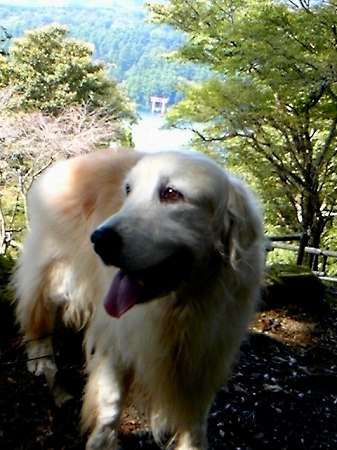 c0097558_14512050.jpg