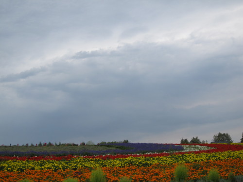 d0194759_21484117.jpg