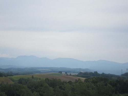 d0194759_21522332.jpg