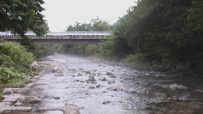b0208961_1718357.jpg