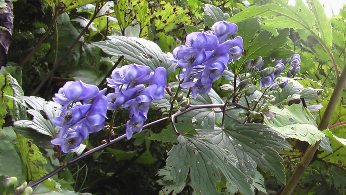 b0208961_1720537.jpg