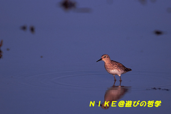 e0000968_9231449.jpg