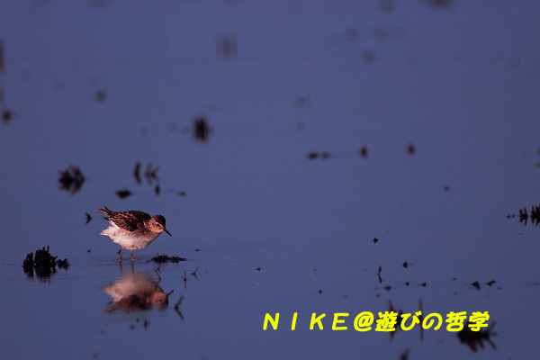 e0000968_9231667.jpg