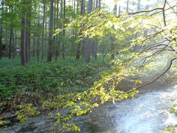 d0091069_0201257.jpg