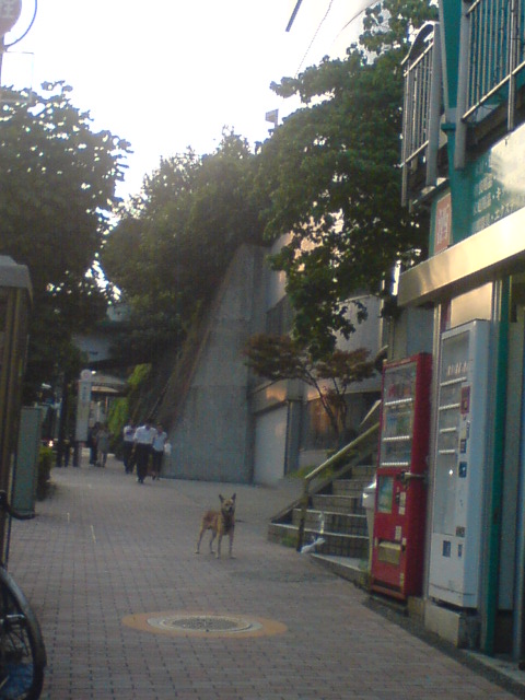 f0096569_13353268.jpg