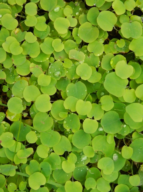 c0122670_21281960.jpg