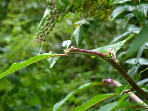 d0084473_20122553.jpg