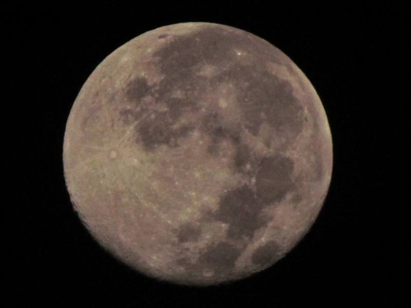 c0183777_18312945.jpg