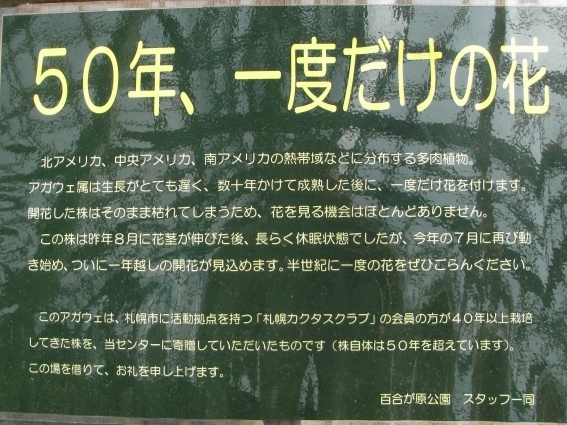 c0183777_6363565.jpg