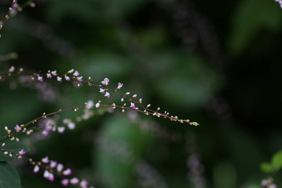 a0083081_1814210.jpg