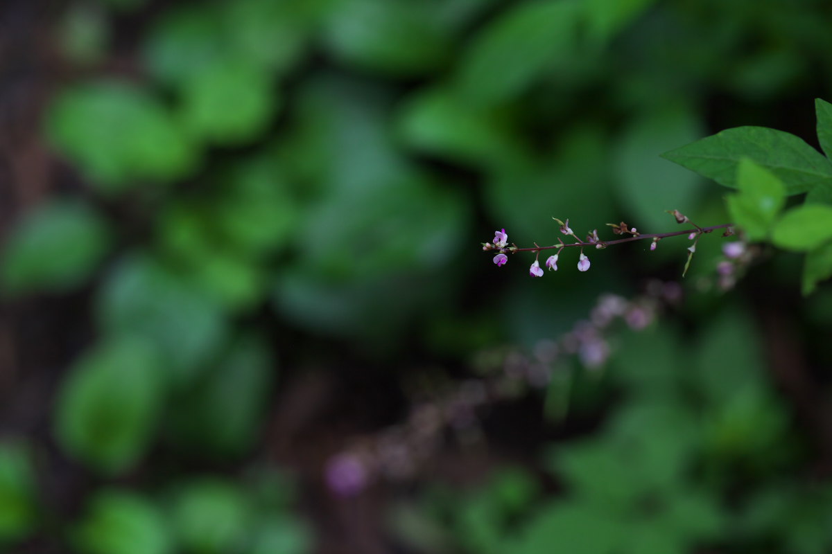 a0083081_1815113.jpg