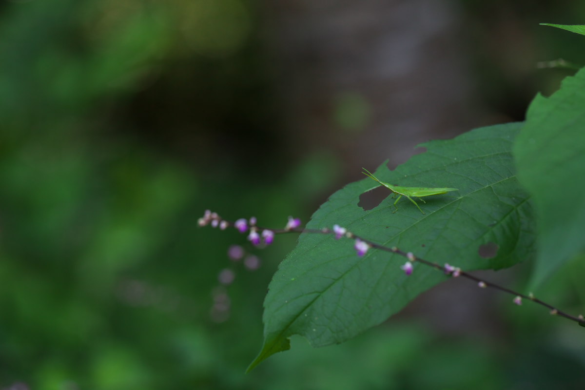 a0083081_18151131.jpg