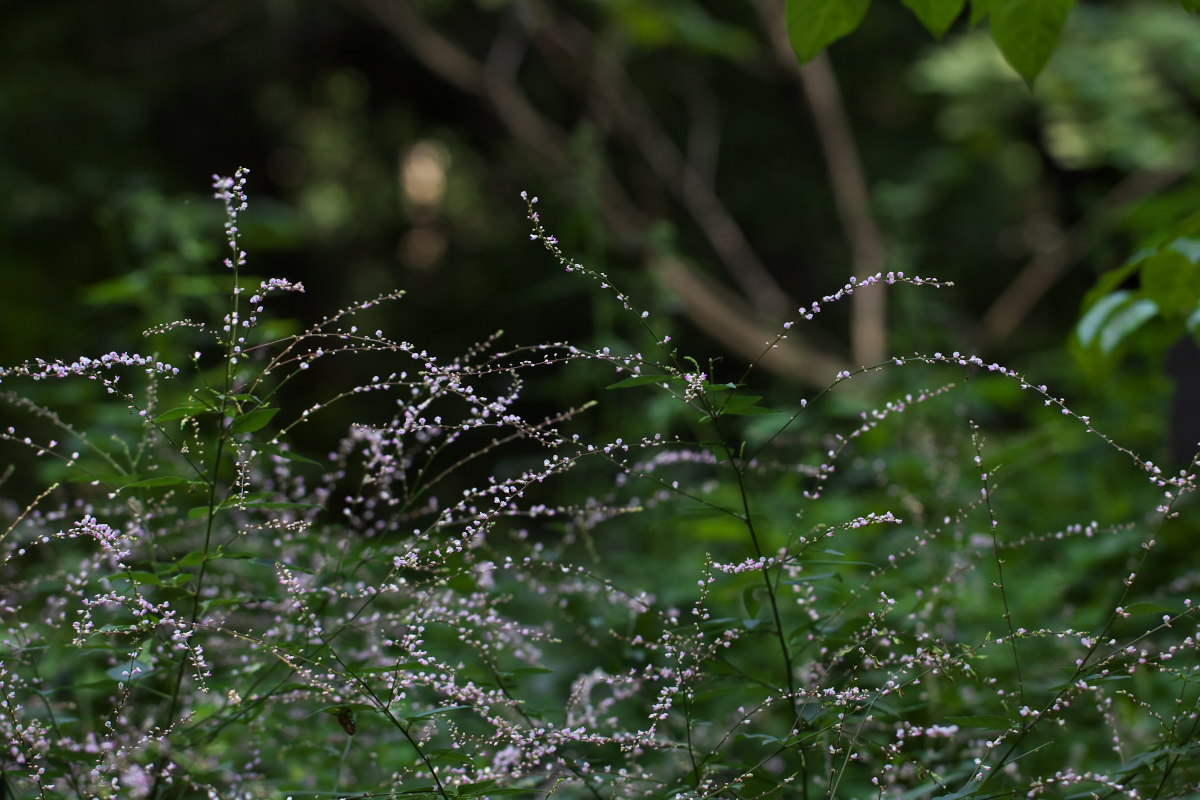 a0083081_18153627.jpg