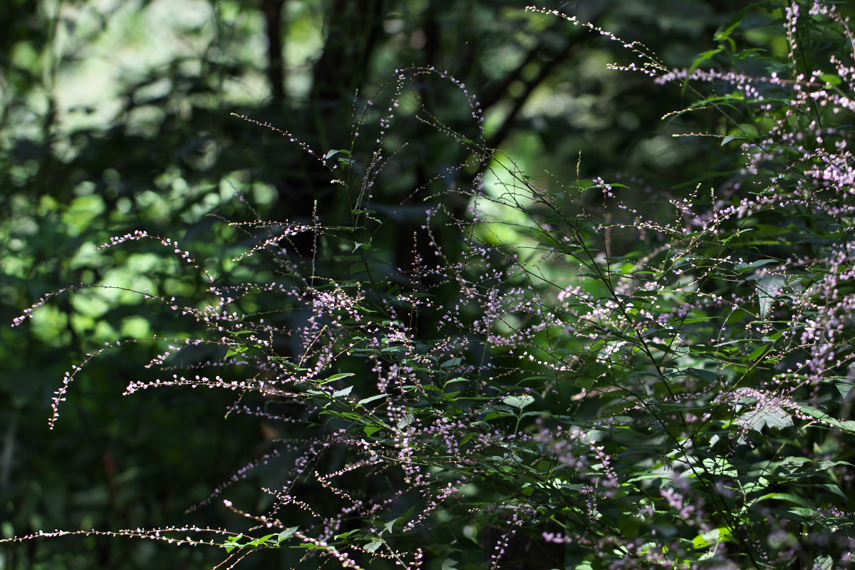a0083081_18154947.jpg