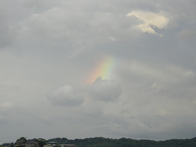 b0128589_18401250.jpg
