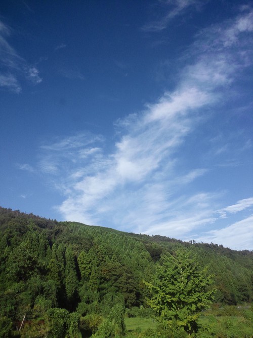 a0116490_11252779.jpg
