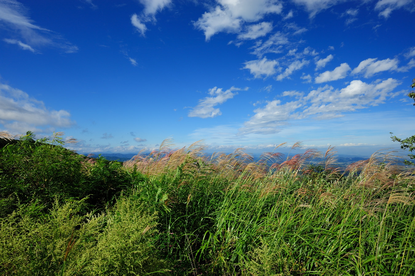 c0138991_2324063.jpg