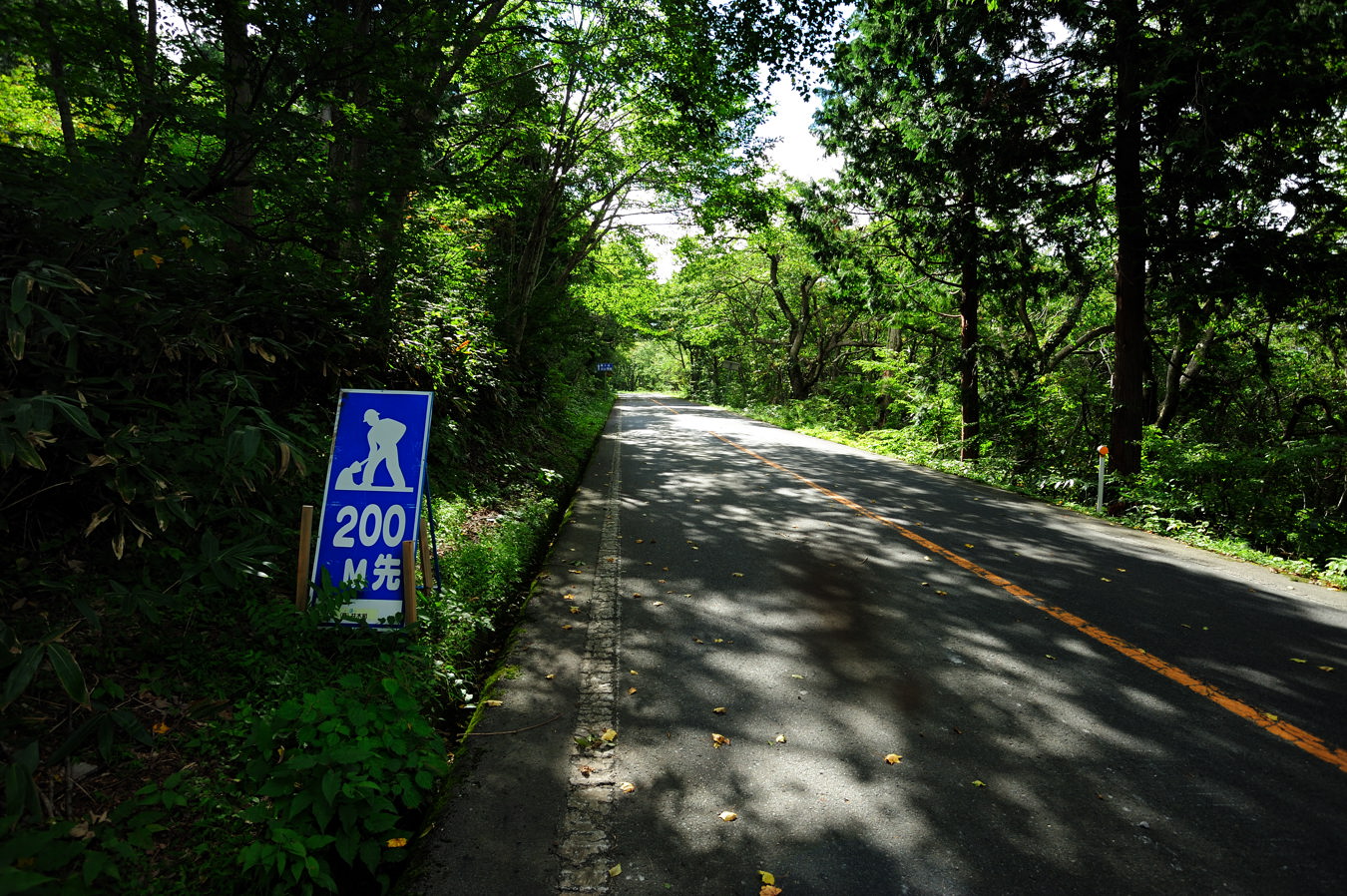 c0138991_2354616.jpg