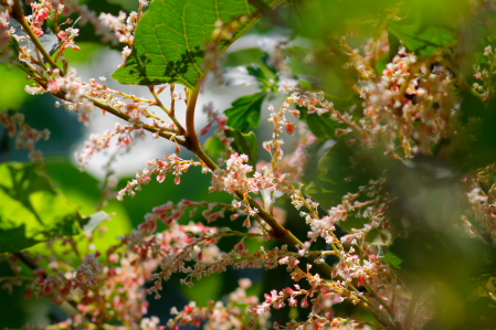 d0133693_1002016.jpg