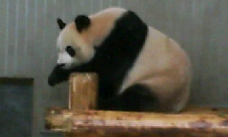 f0033893_21394147.jpg