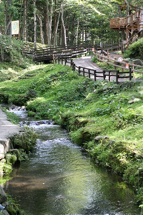 e0166094_20504934.jpg
