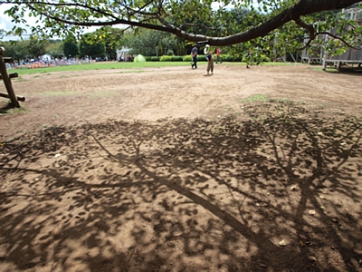 b0183497_2145435.jpg