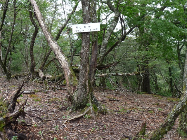 b0025101_23221822.jpg