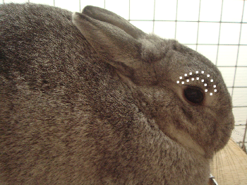 b0081503_168792.png