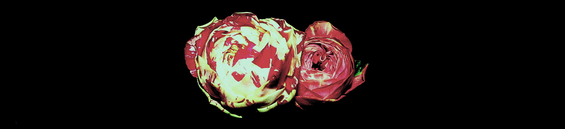 a0157704_0151215.jpg