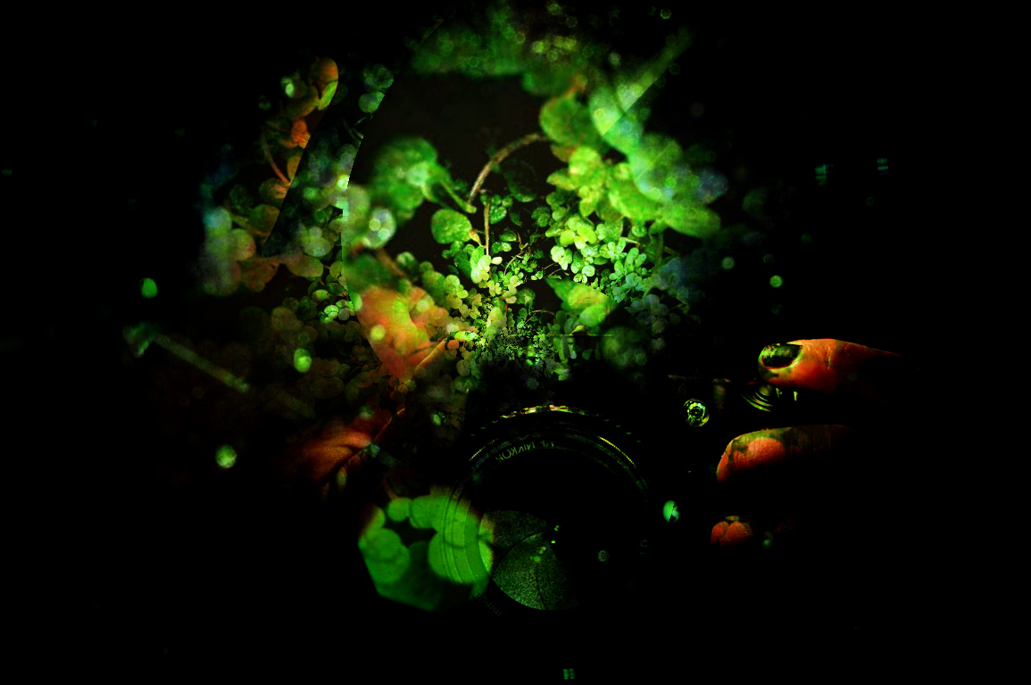 a0157704_025618.jpg