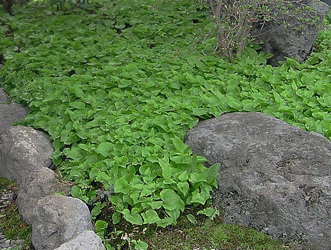 e0240407_15291210.jpg