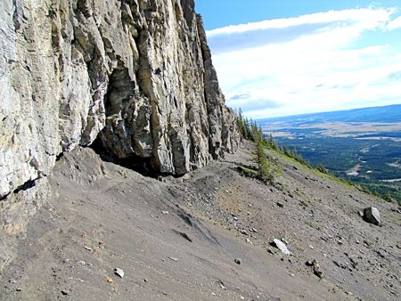 b0051109_8511227.jpg