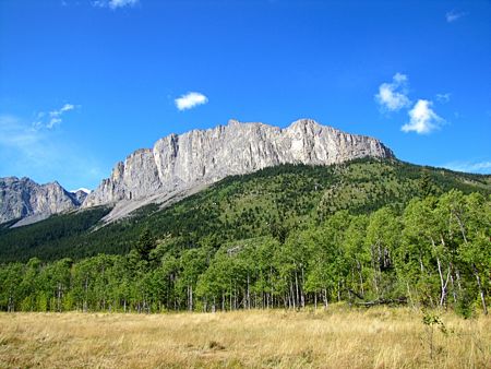 b0051109_972321.jpg