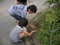 c0190010_2046023.jpg